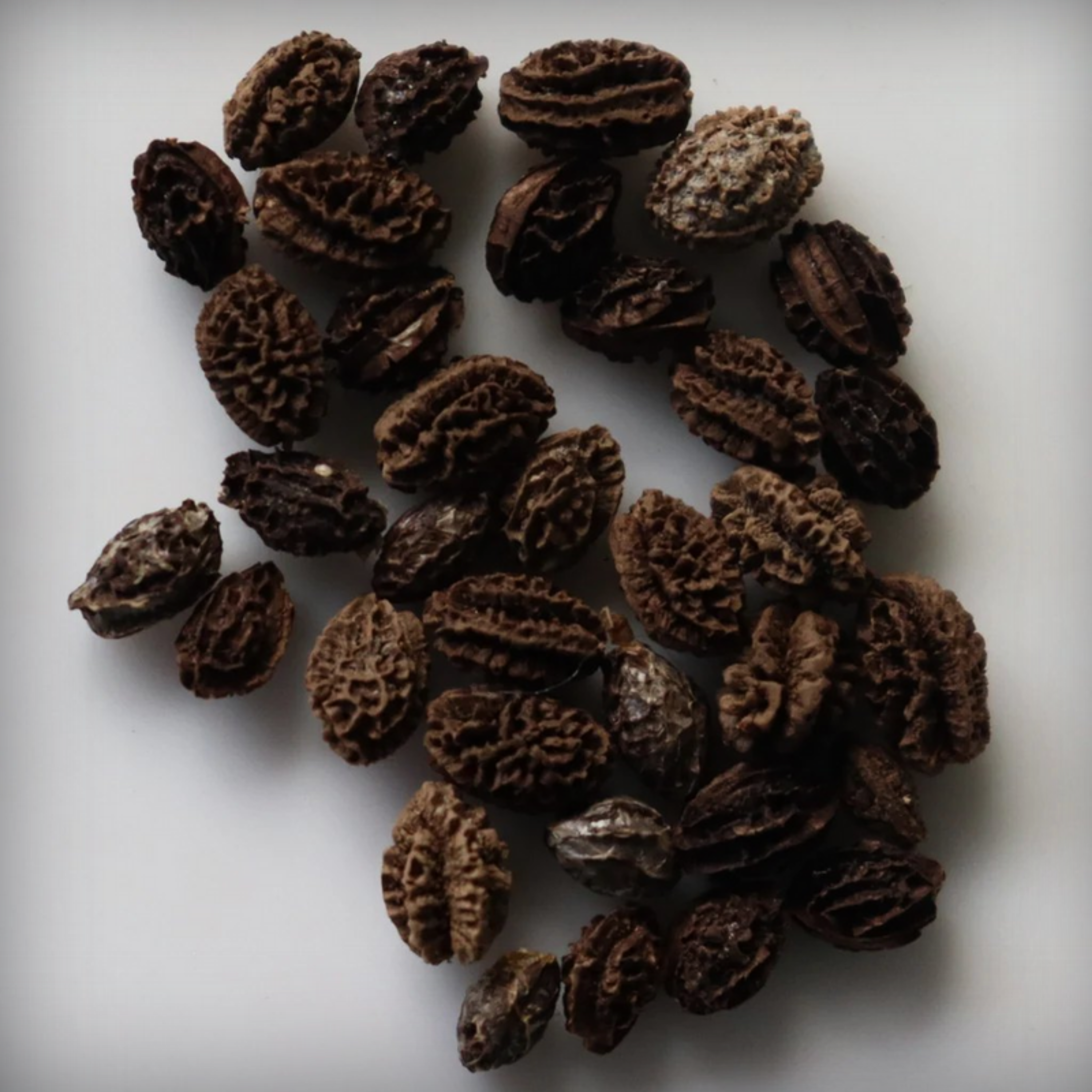 Hybrid Papaya Seeds - 10 Seeds