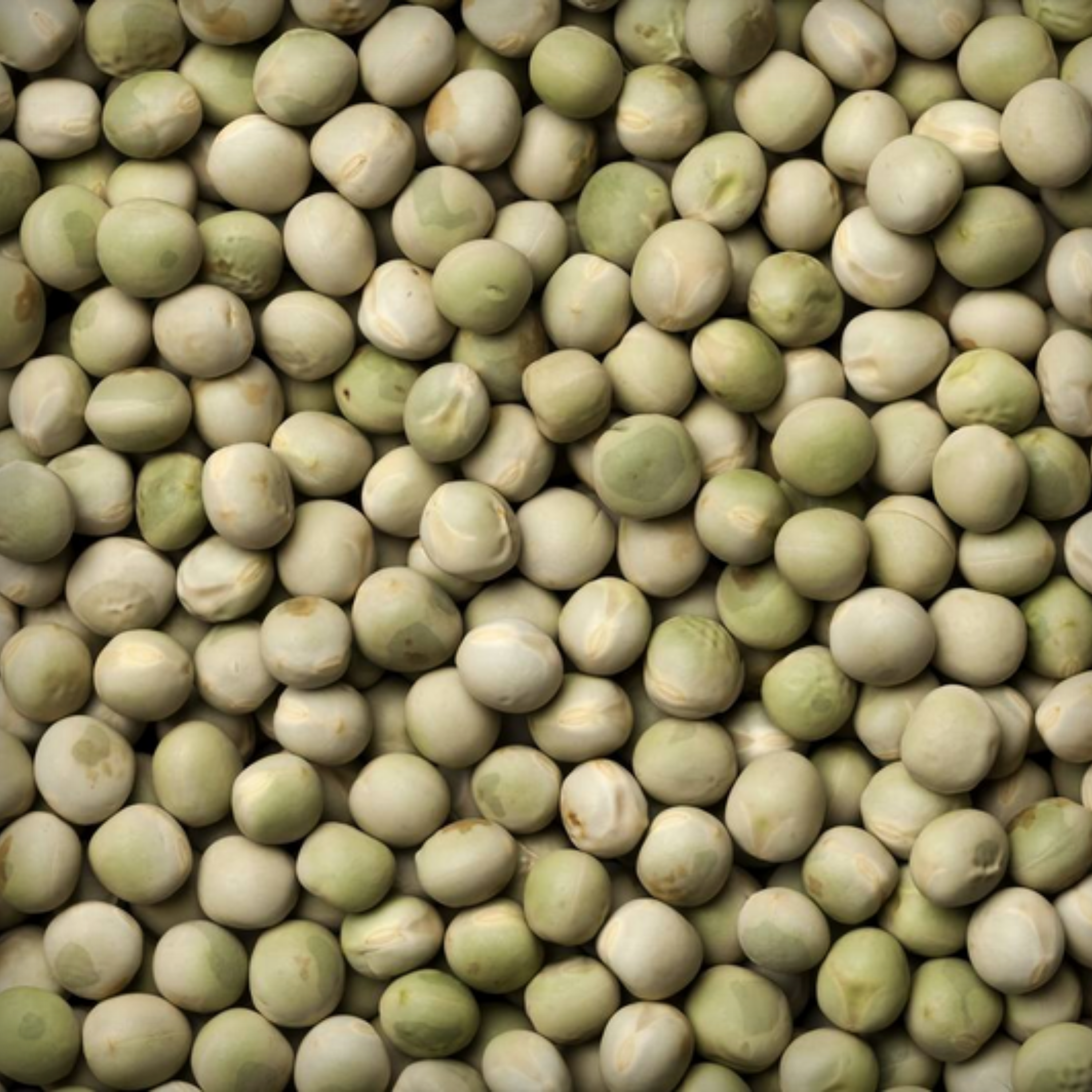 Hybrid Peas Seeds - 25 Seeds