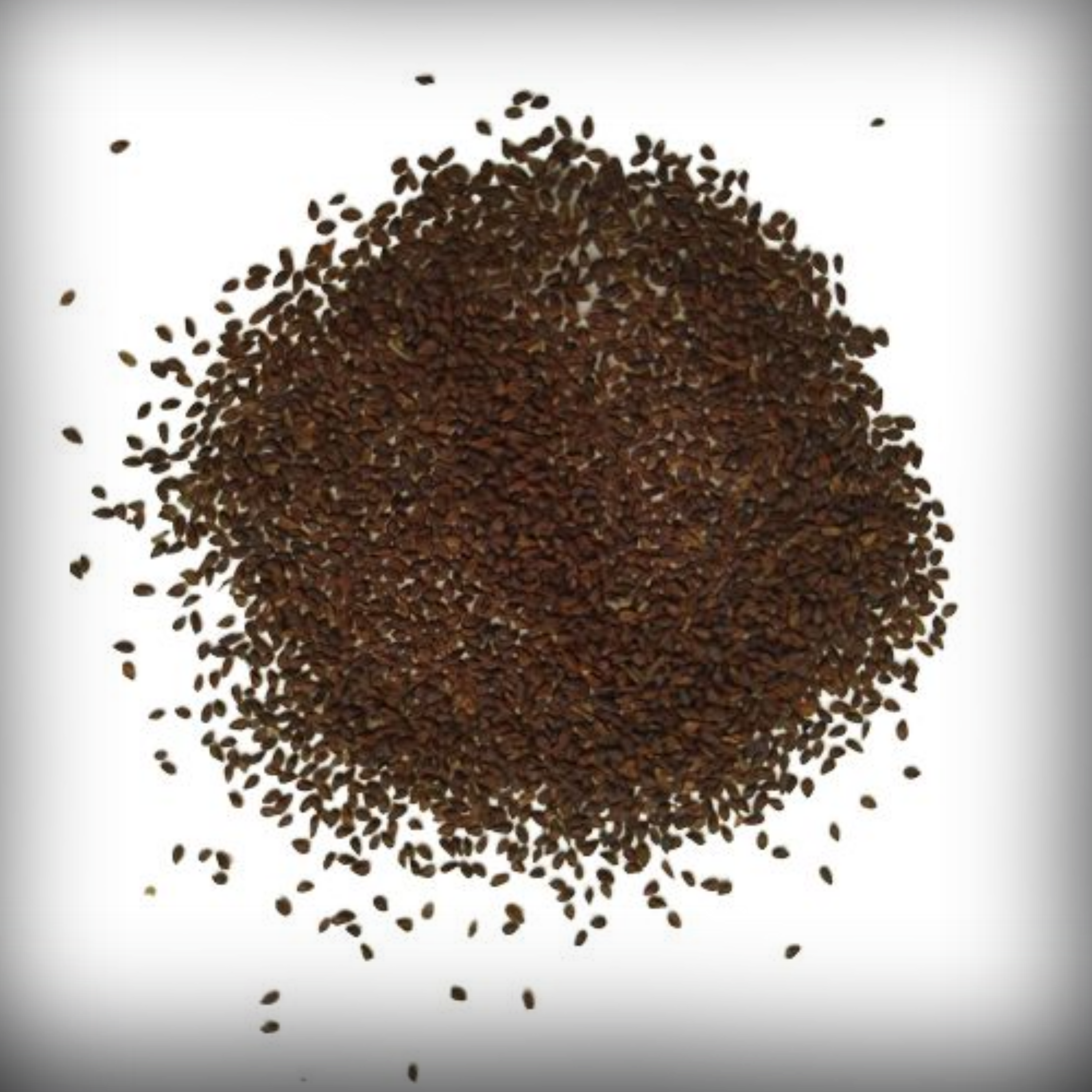 Clarkia Seed - 100 Seeds