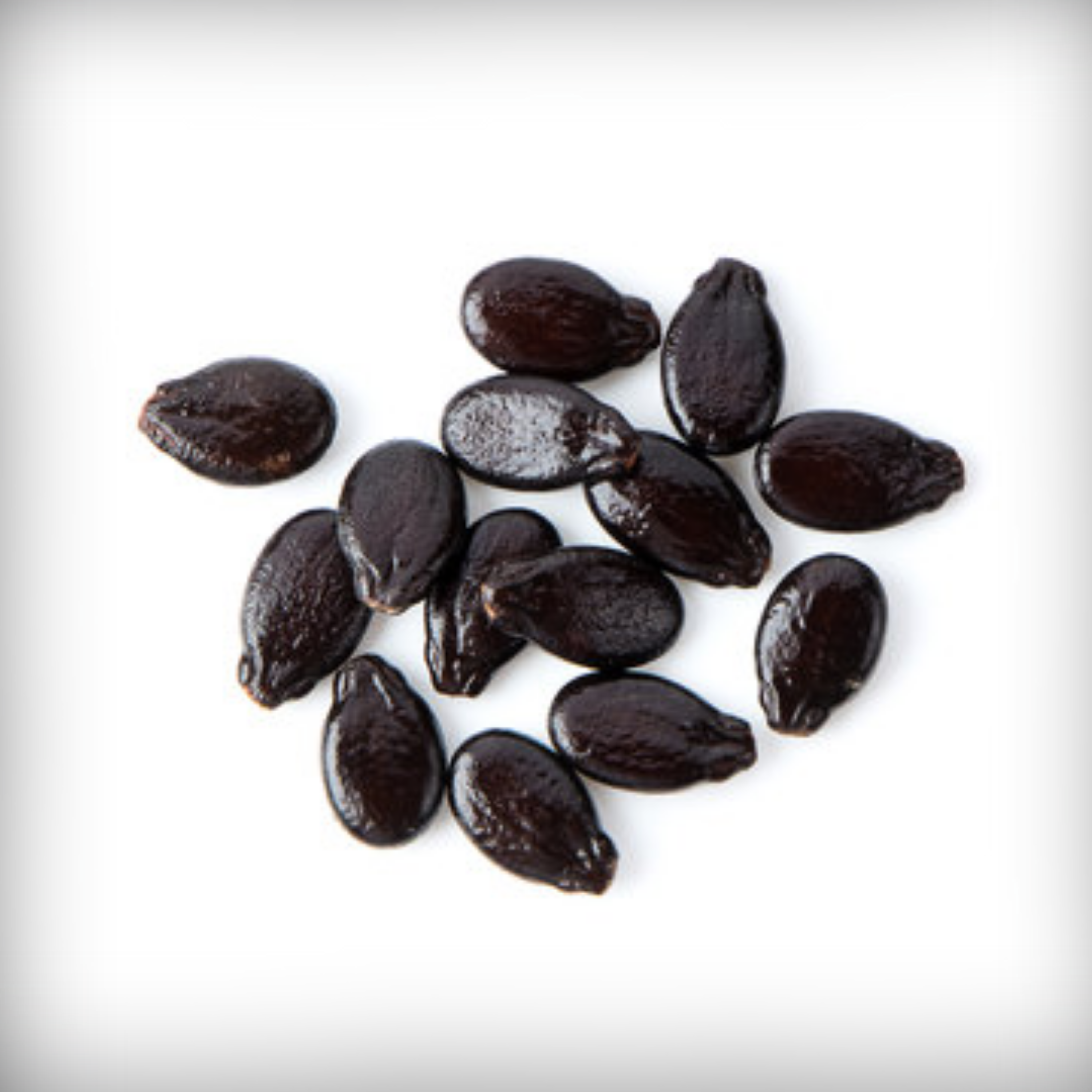 Hybrid Watermelon Black Round Seeds - 10 Seeds