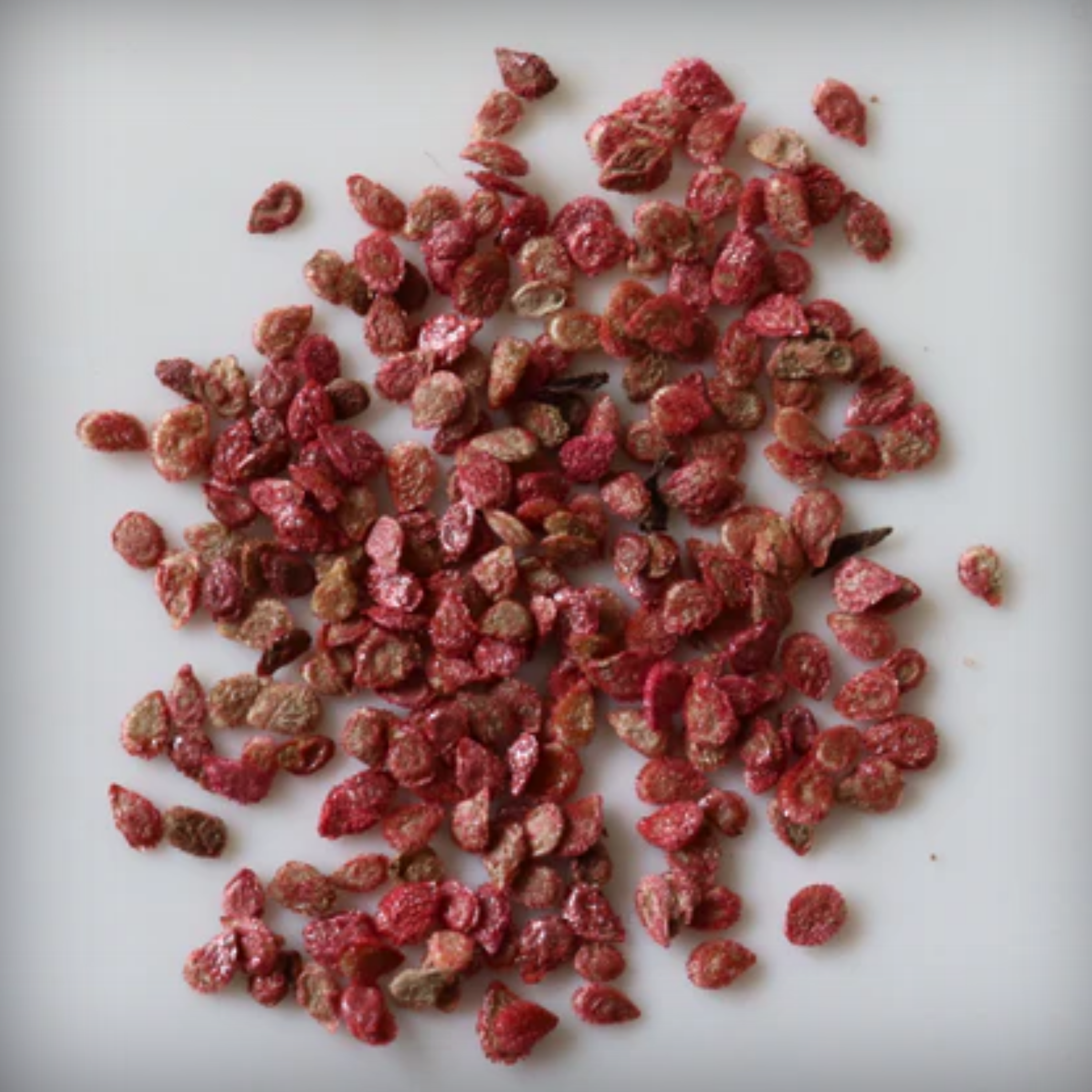 Hybrid Tomato Seeds - 25 Seeds