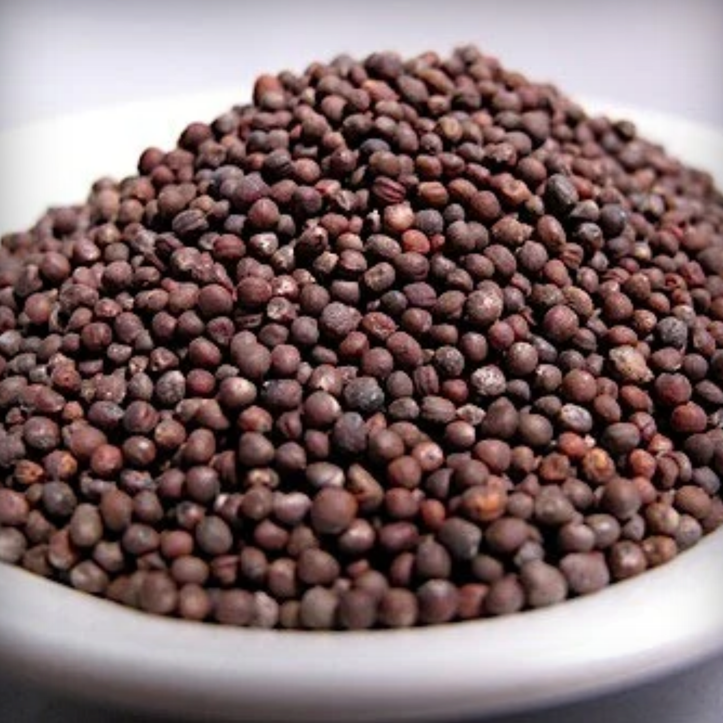 Hybrid Red Cabbage Seeds - 20 Seeds