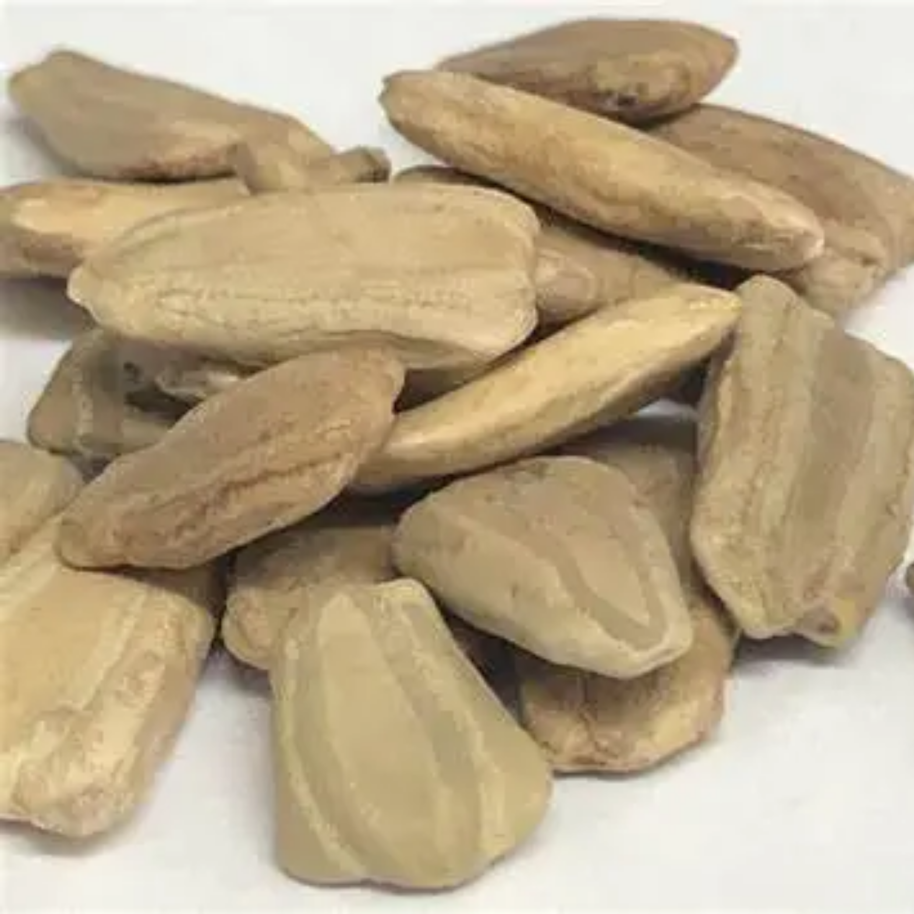 Bottle Gourd Long Seeds - 20 Seeds