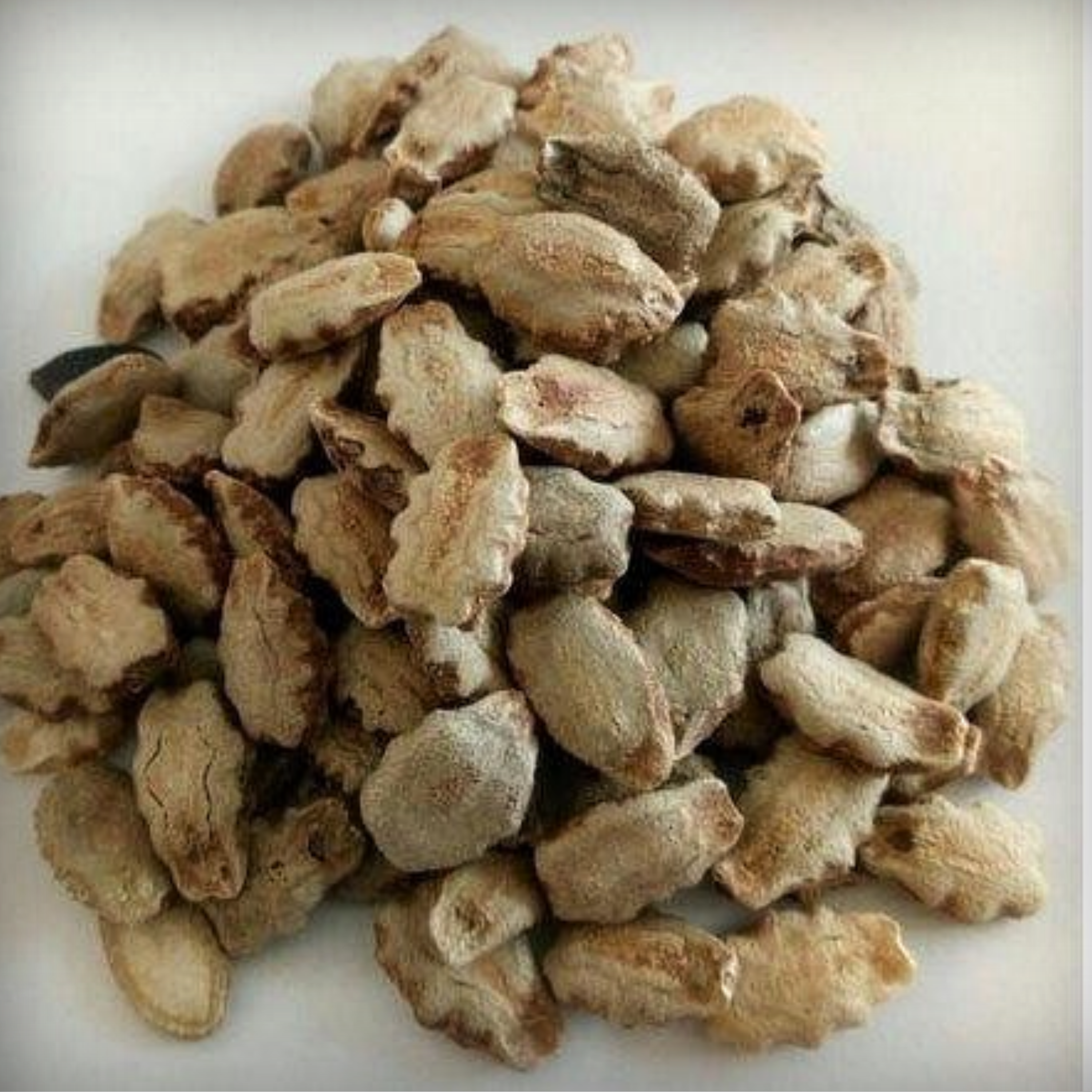 Hybrid Snake Gourd Seeds - 10 Seeds