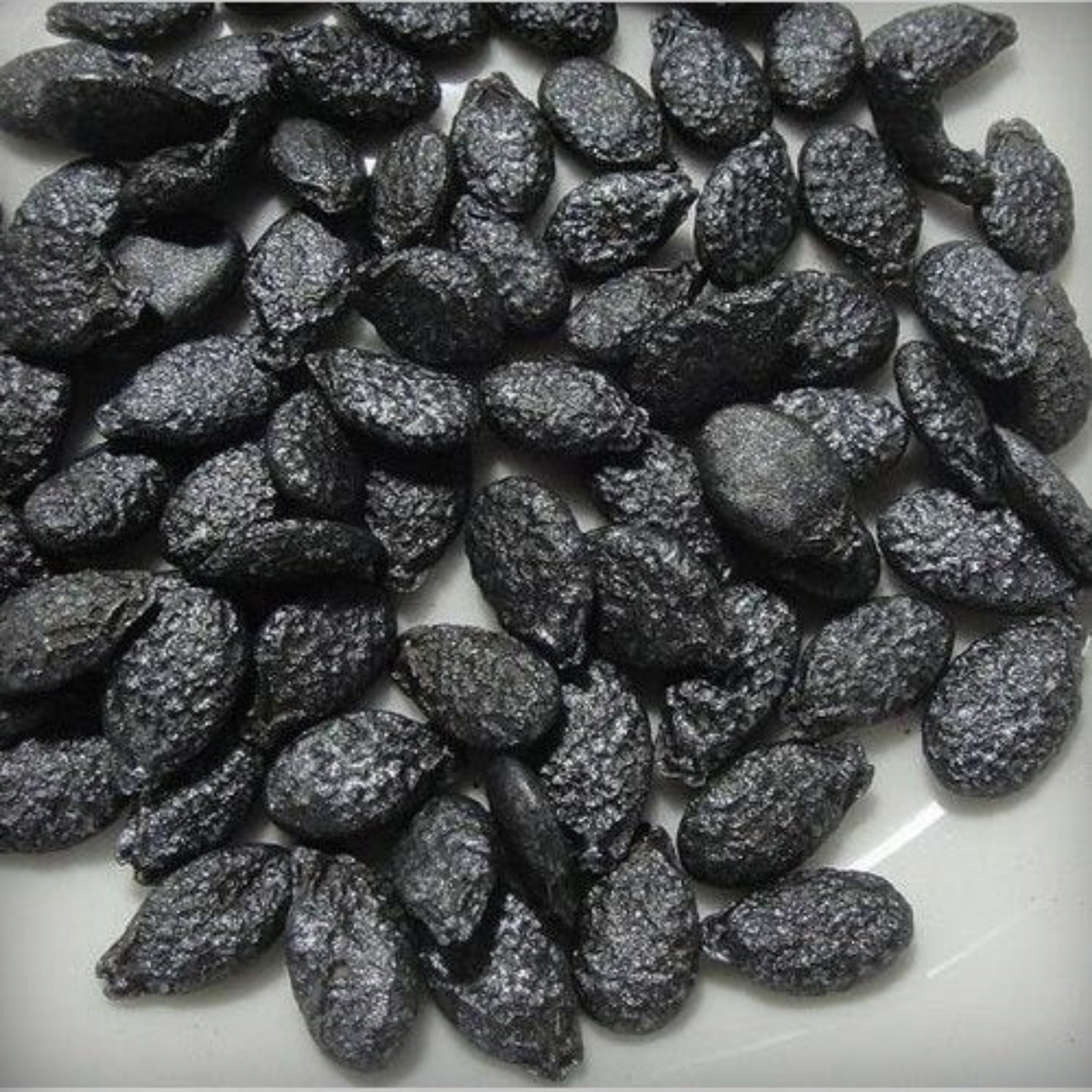 Seeds Ridges Ridge Gourd Seeds - 20 Seeds – ONLY FOR ORGANIC