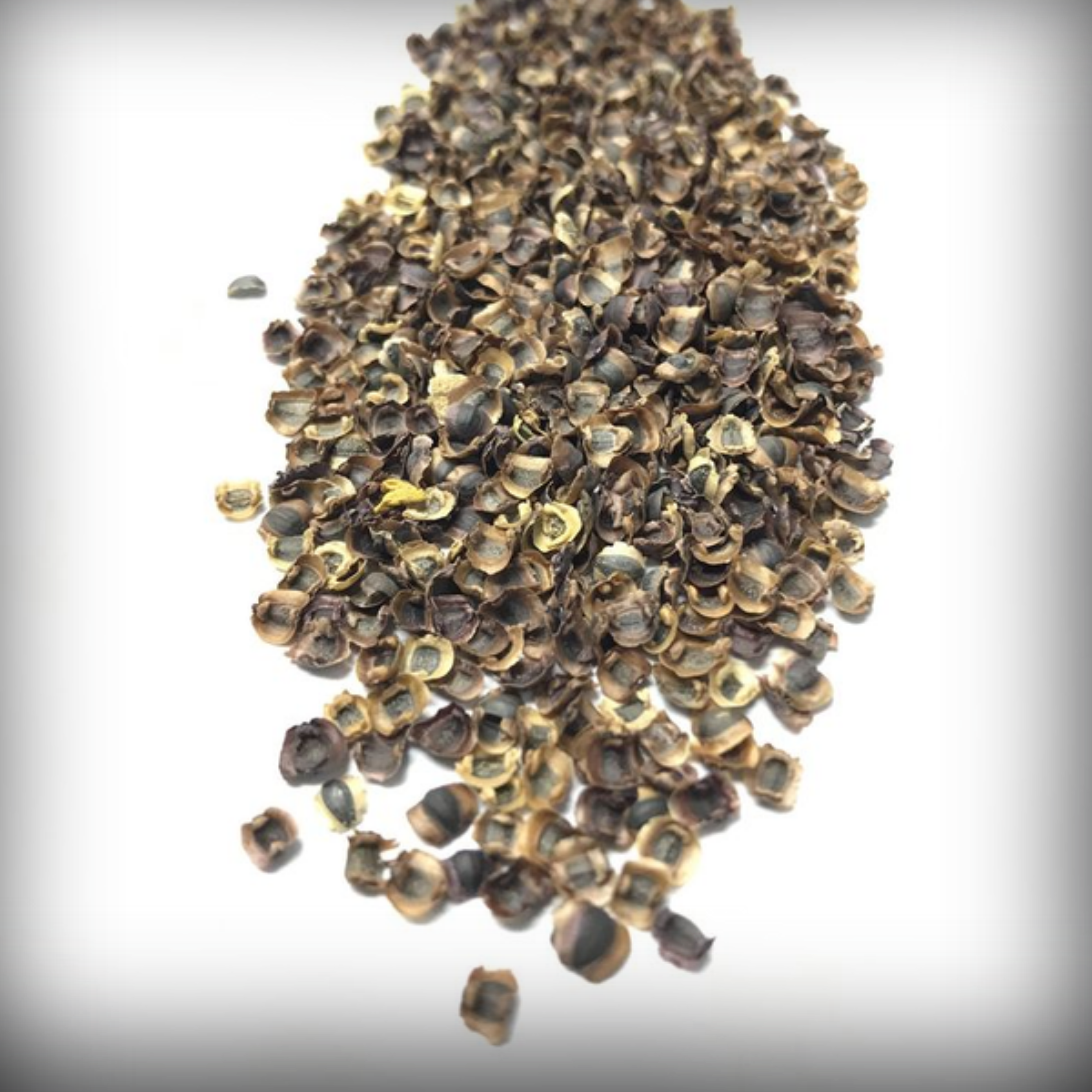 Coreopsis Seeds - 50 Seeds