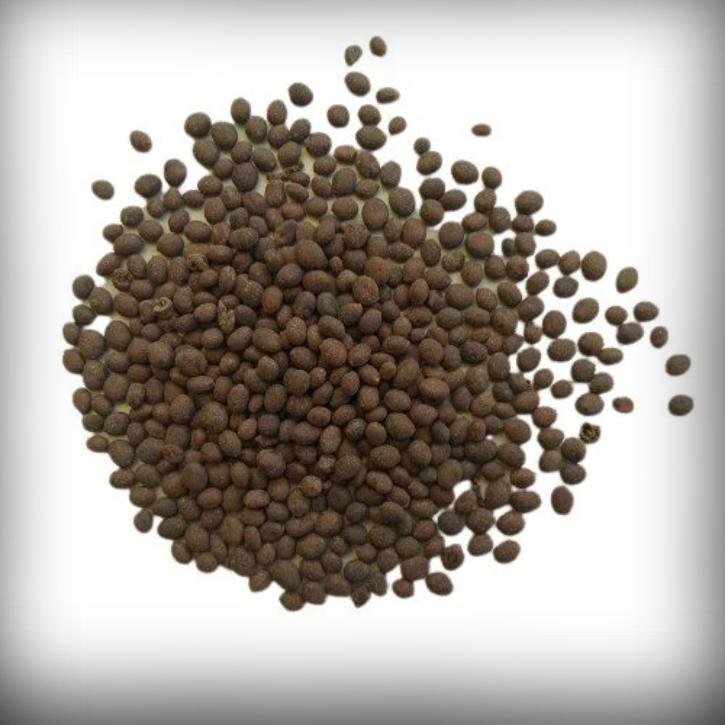Balsam Flower Seeds - 50 Seeds