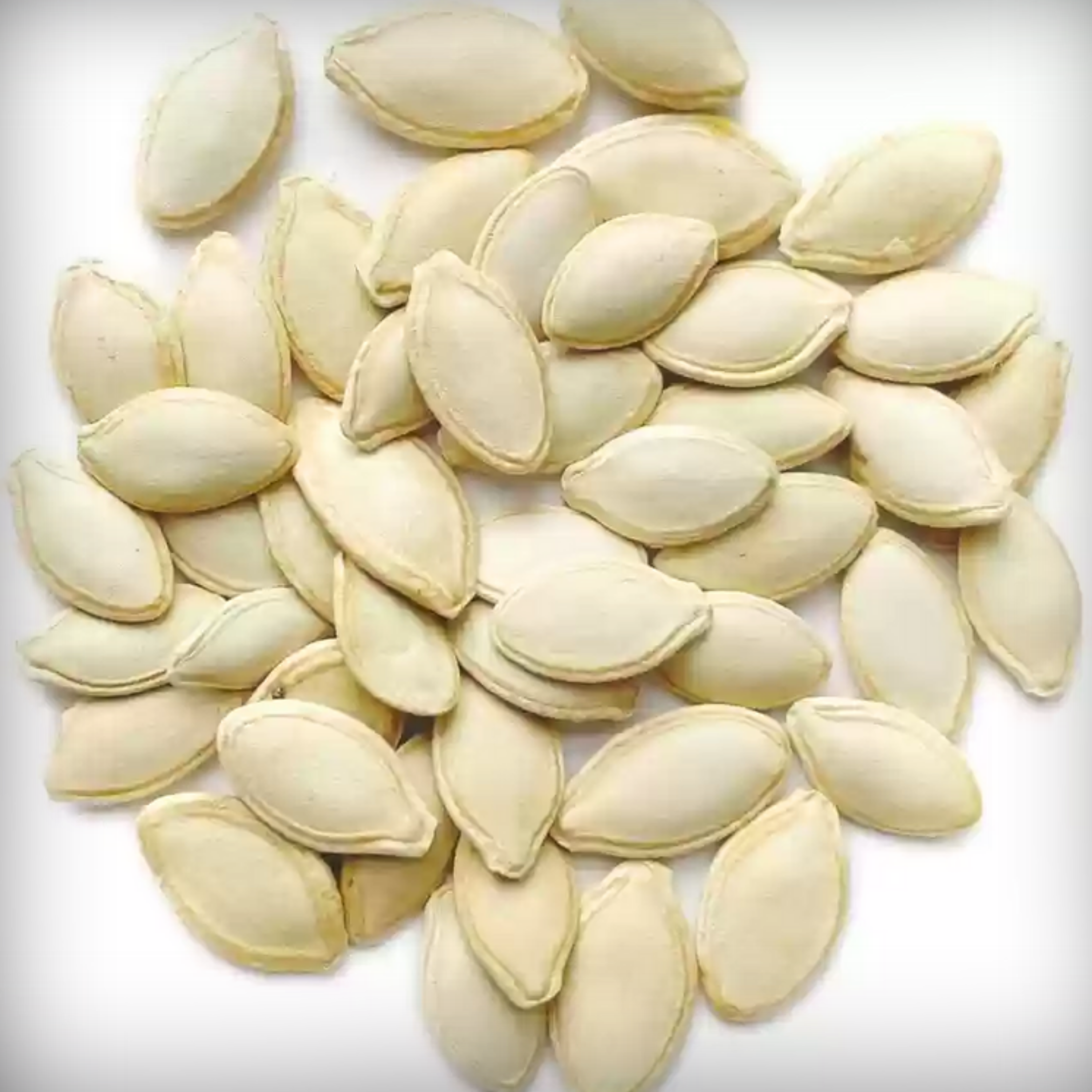 Hybrid Squash Seed 10 Seeds