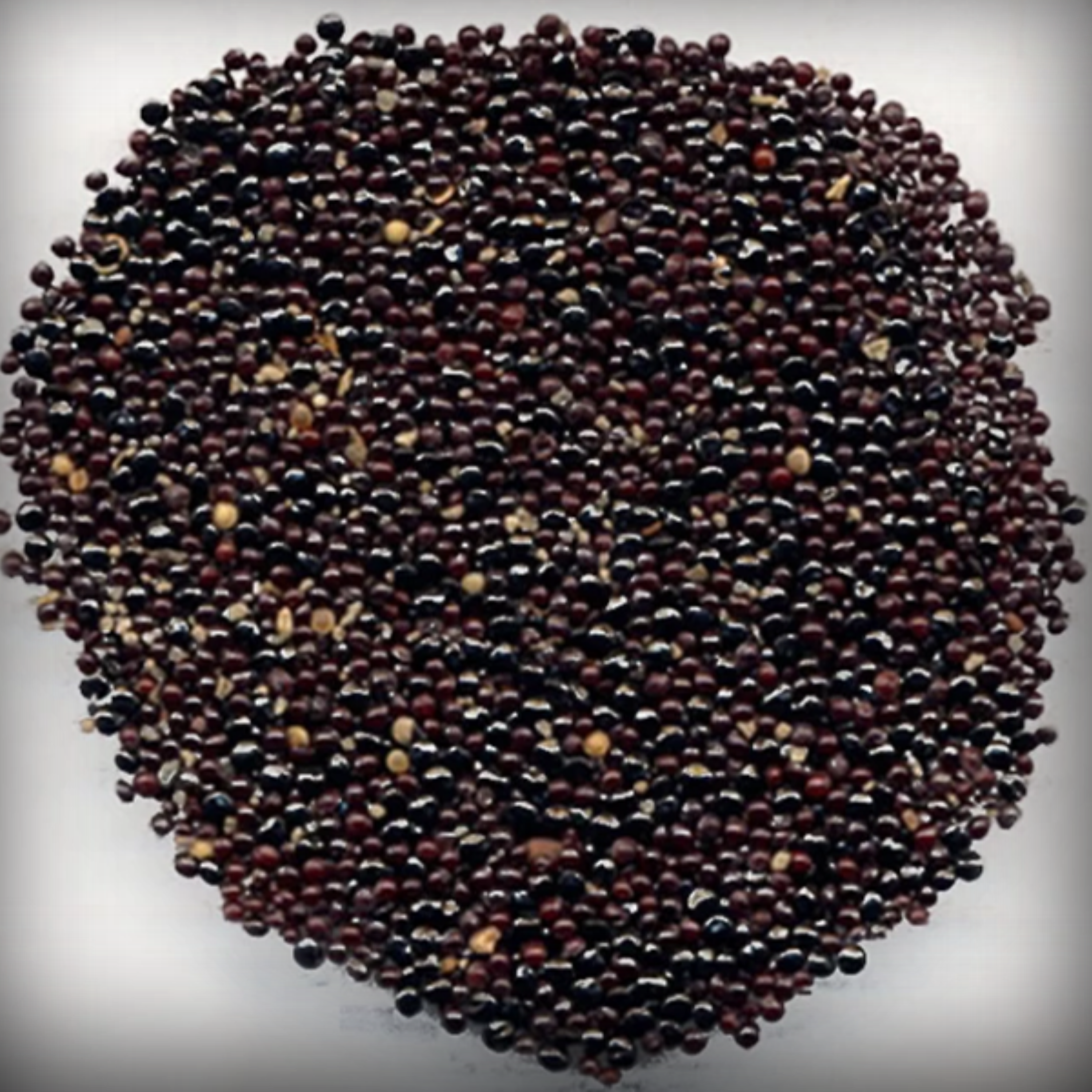 Cockscomb Seeds - 50 Seeds