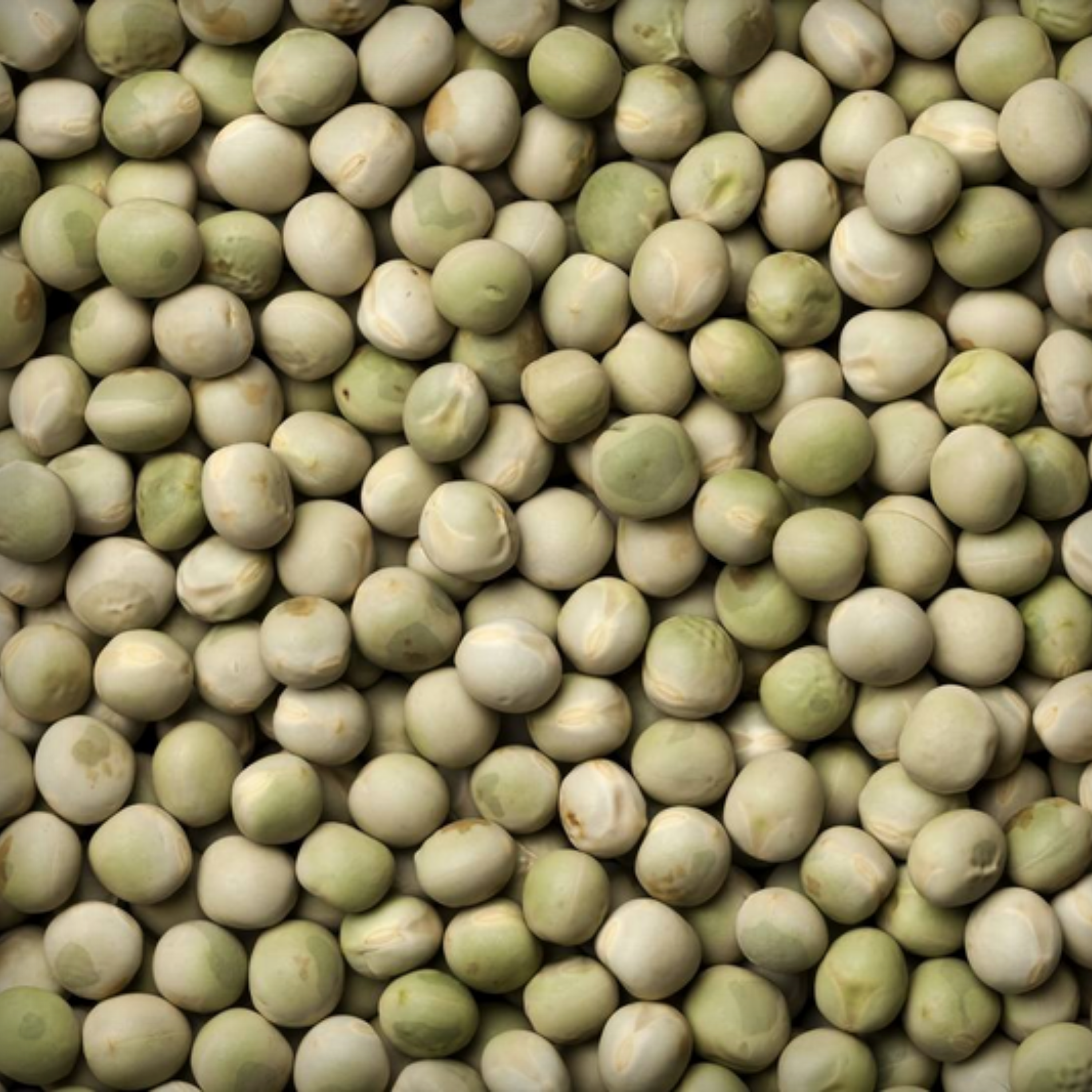 Peas Seed- 50 Seeds