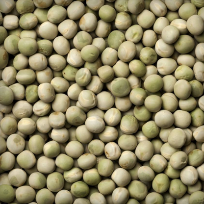 Peas Seed- 50 Seeds