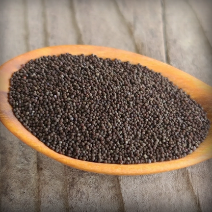 Poppy Shirley Seed - 100 Seeds