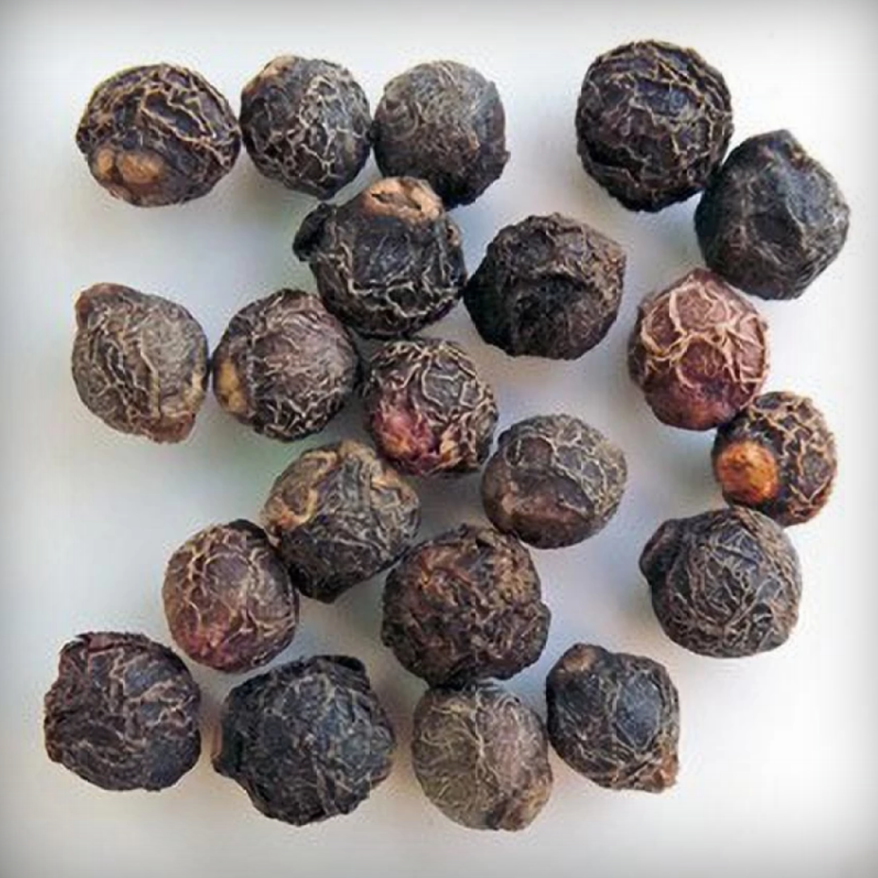 Malabar Spinach Seeds - 50 Seeds