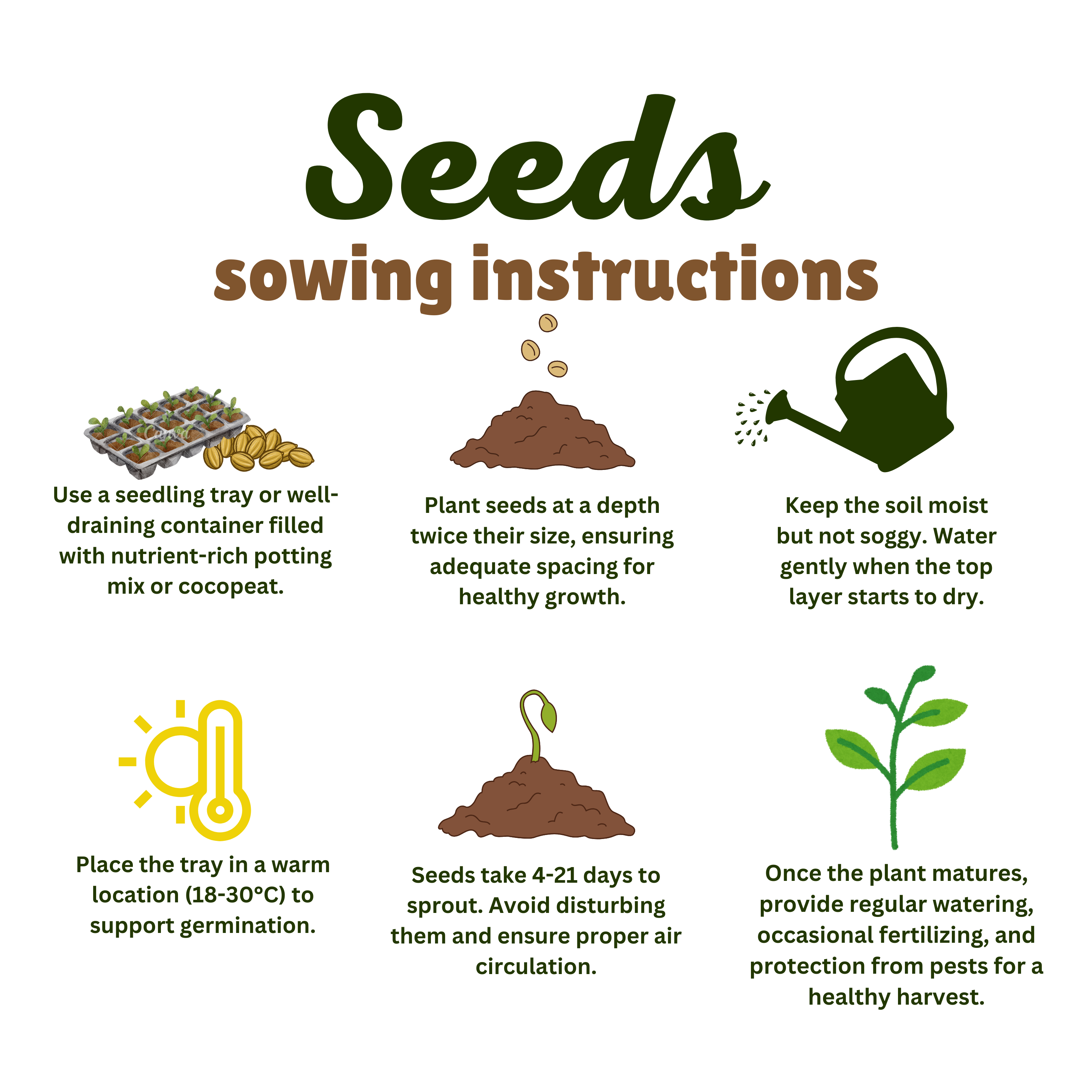 Allysum Seed - 50 Seeds