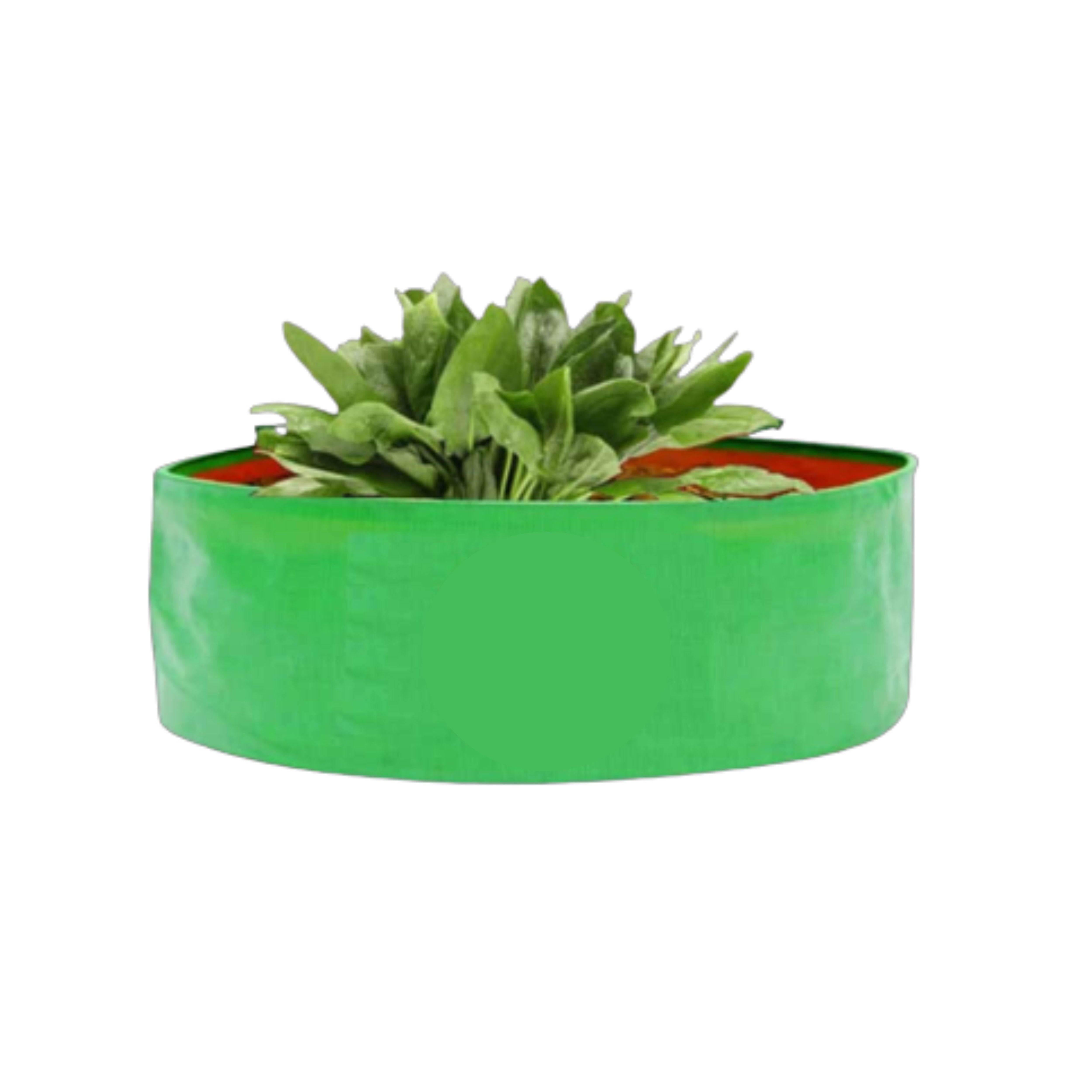 HDPE UV Treated Green Grow Bags (Size-15x8 inch) for Home/Commercial Gardening