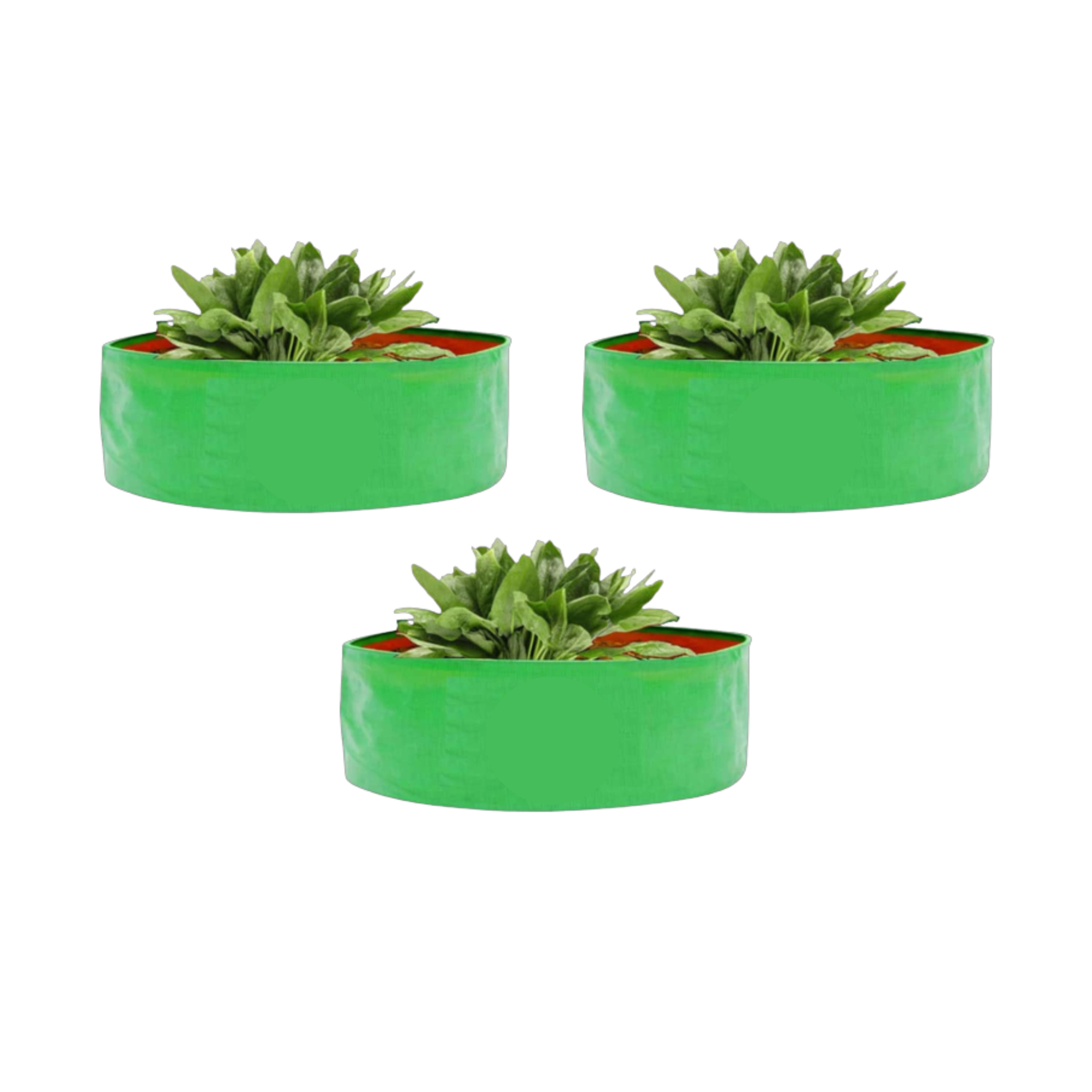 HDPE UV Treated Green Grow Bags (Size-15x8 inch) for Home/Commercial Gardening
