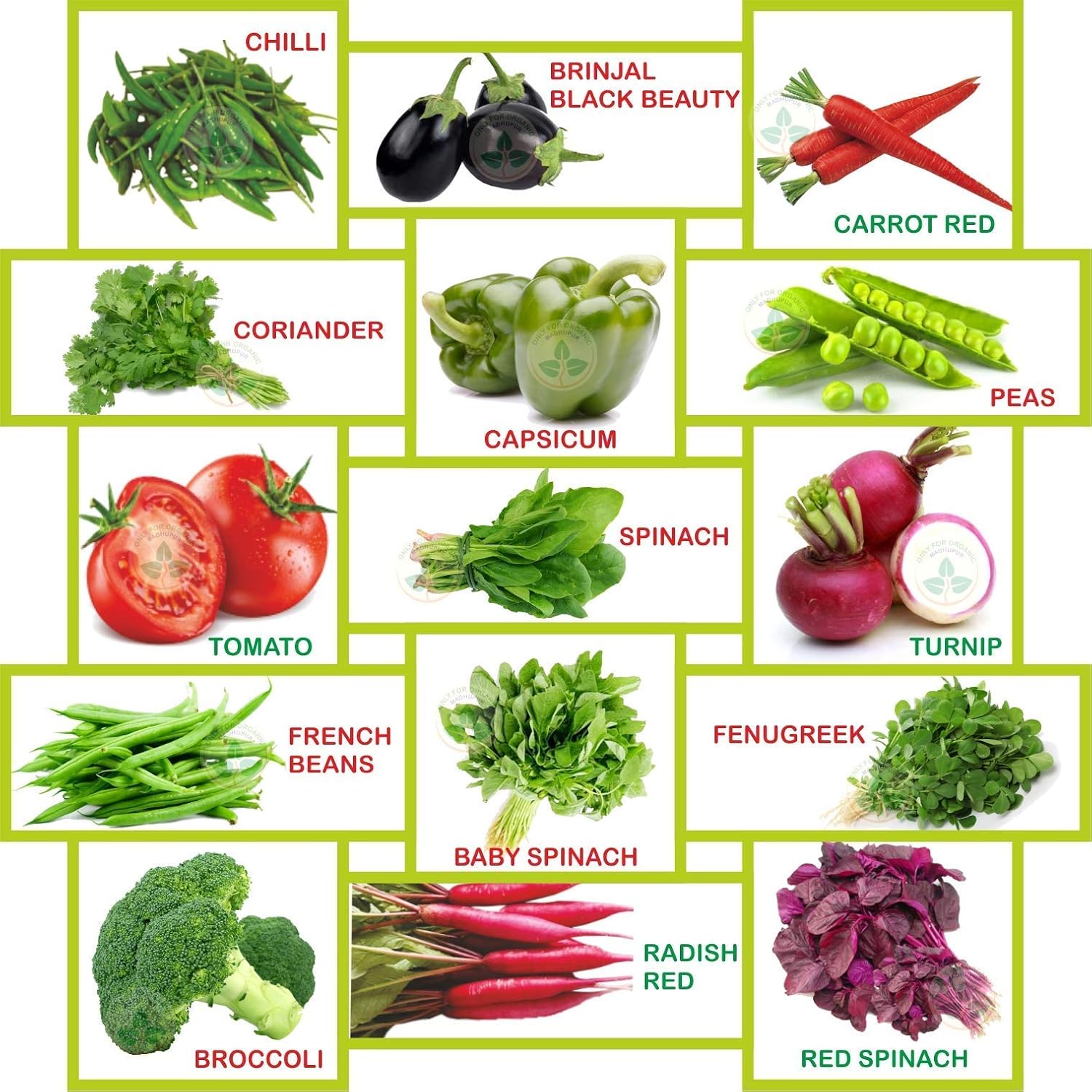 Fifteen Winter Vegetable Seeds (6700+ Seeds) With Cocopeat Block And Instruction Manual