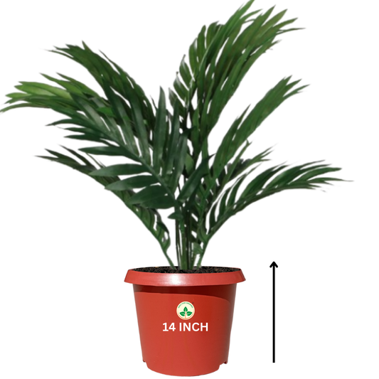 Plastic Pot/Gamla Round 14 Inch - for Indoor Home Decor & Outdoor Balcony Garden