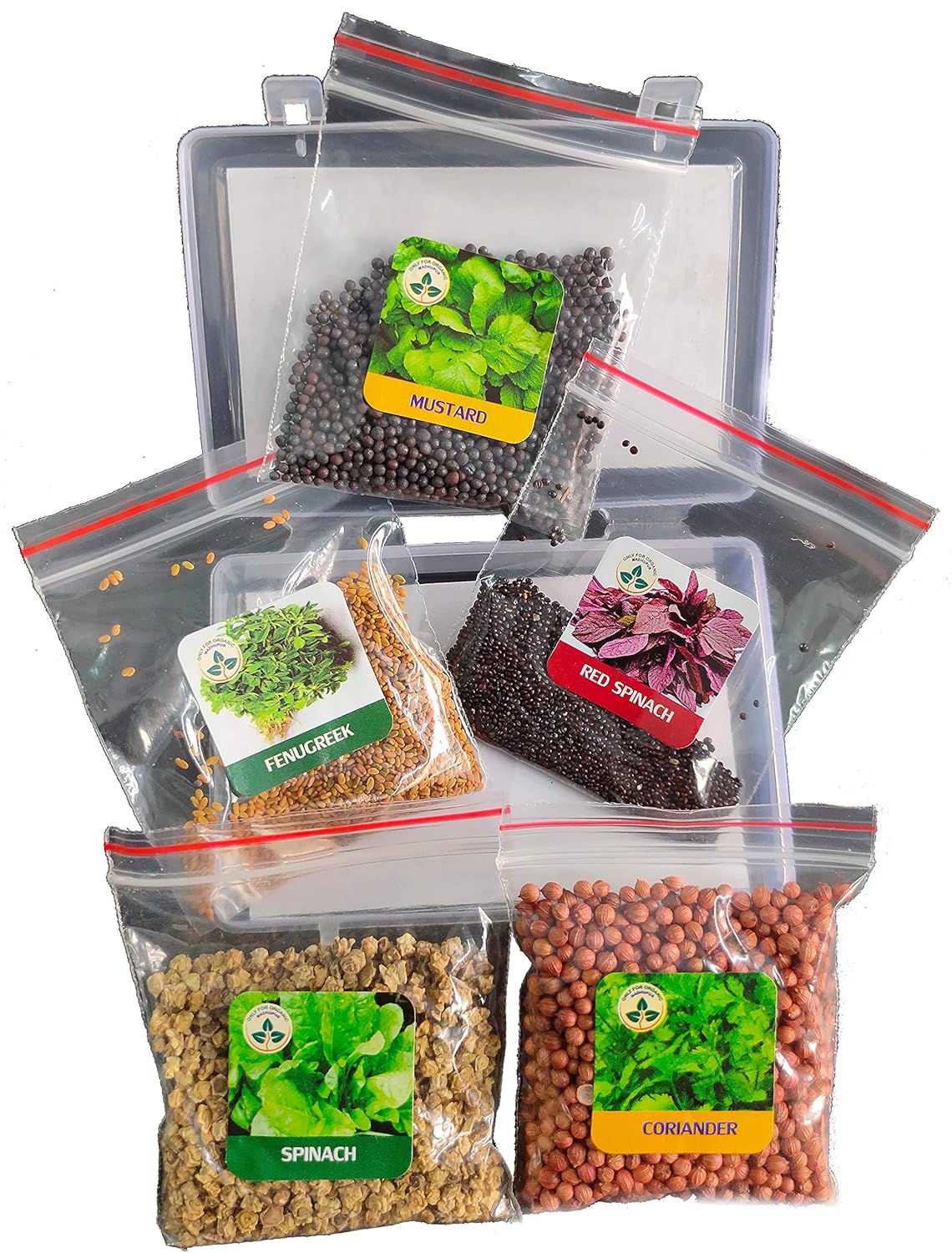 Five Varieties of Leafy Vegetable Seeds