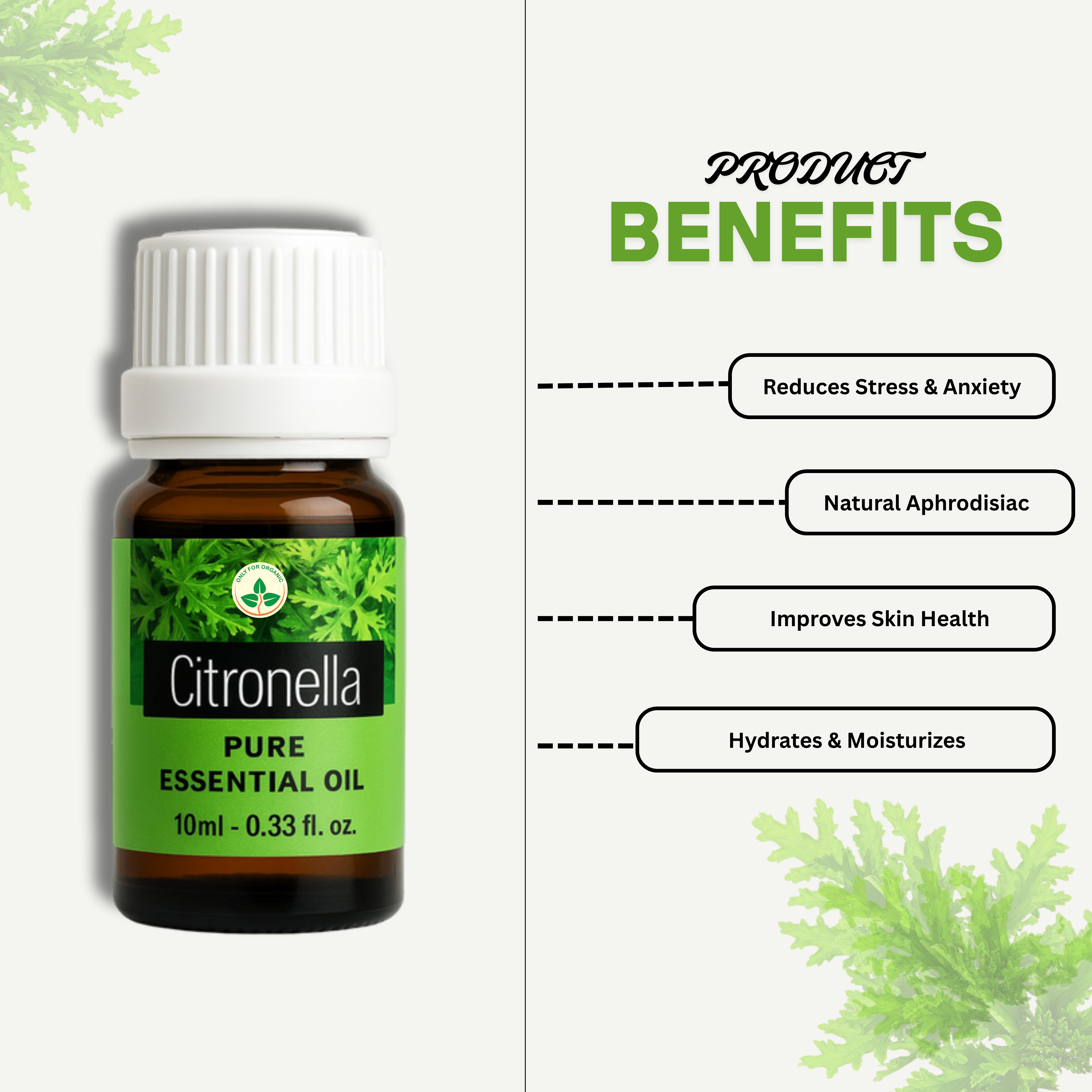 Citronella Essential Oil – 10 ml | 100% Pure & Natural | Cold Pressed