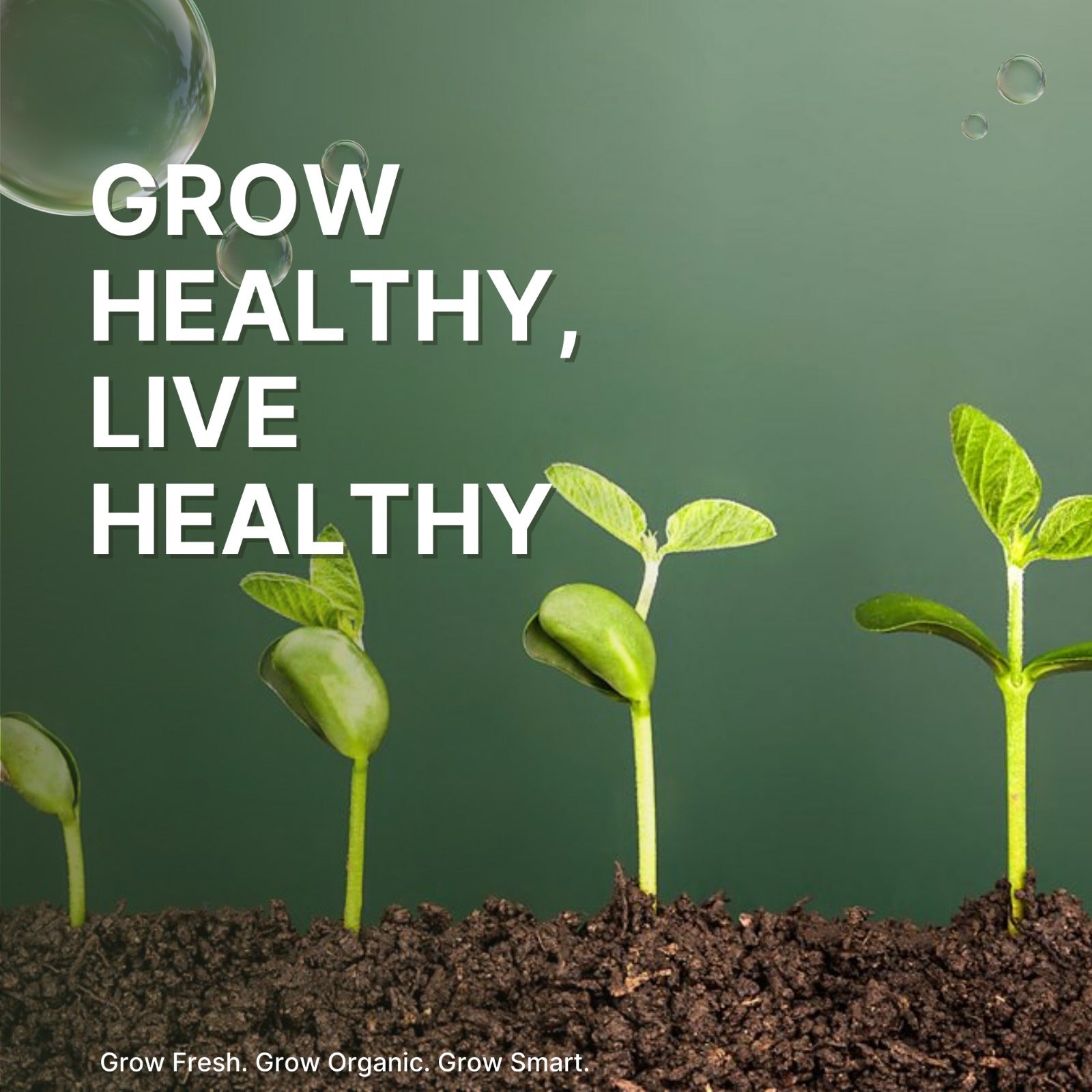 Cocopeat for Gardening – Organic Soil Conditioner & Water Retainer