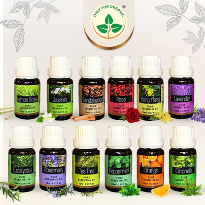 Essential Oils Combo pack of 10, Each 10ml | For Diffuser, Skin, Hair, Massage, DIY, Home Fragrance |
