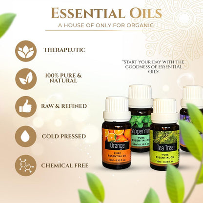 Essential Oils Combo pack of 10, Each 10ml | For Diffuser, Skin, Hair, Massage, DIY, Home Fragrance |