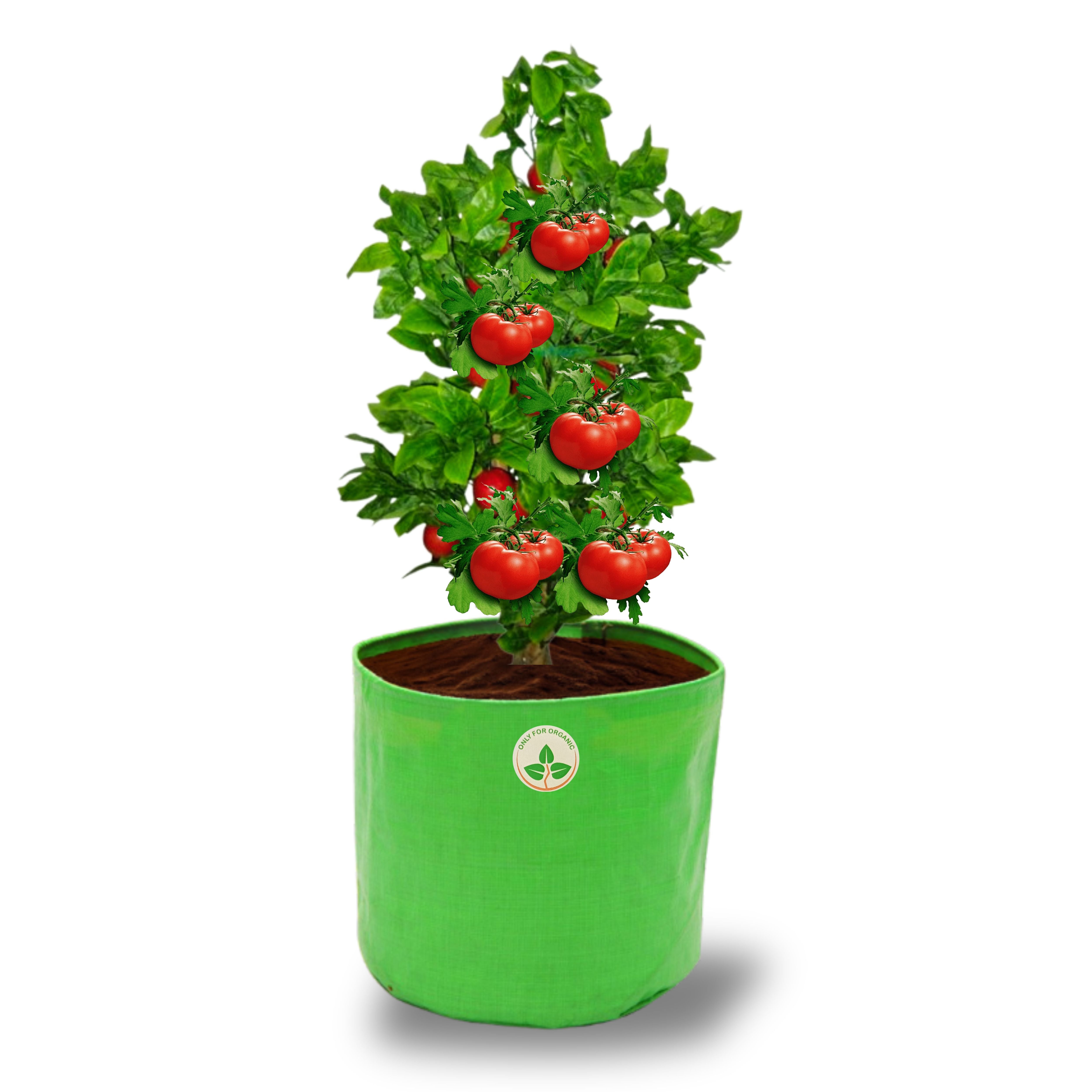 HDPE UV Treated Green Grow Bags (Size-10x10 inch) for Home/Commercial Gardening